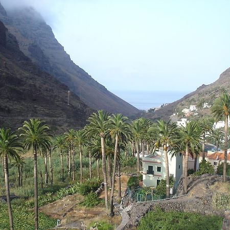 Goyo Gomera Apartments Valle Gran Rey Luaran gambar