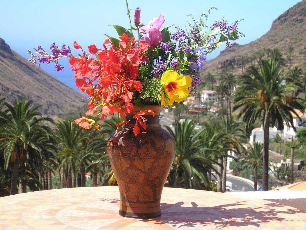 Goyo Gomera Apartments Valle Gran Rey Luaran gambar