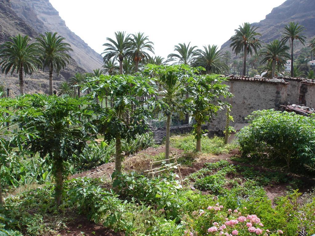 Goyo Gomera Apartments Valle Gran Rey Luaran gambar