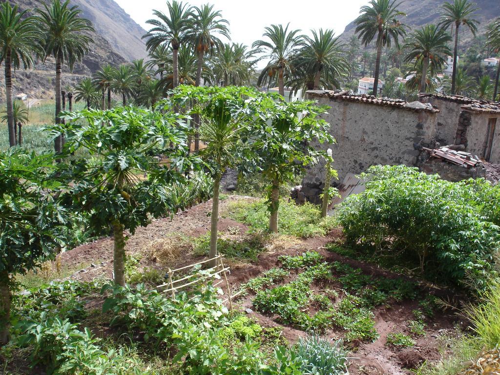 Goyo Gomera Apartments Valle Gran Rey Luaran gambar