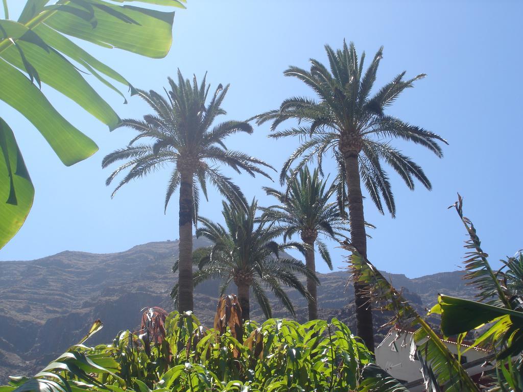 Goyo Gomera Apartments Valle Gran Rey Luaran gambar